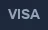 Visa payment icon