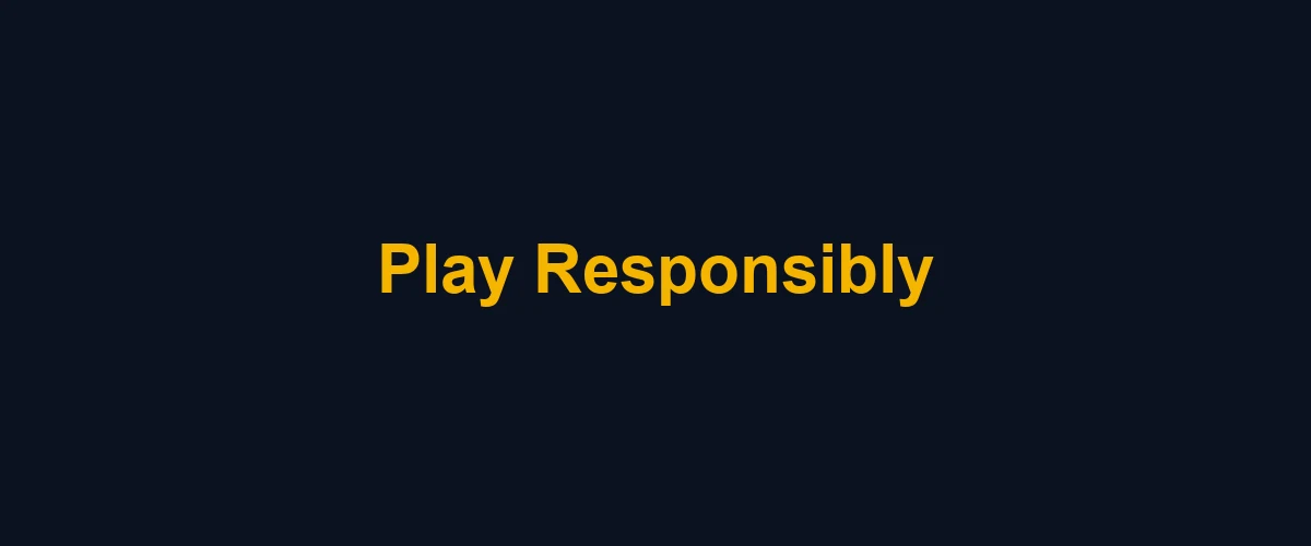Wide banner illustration reminding visitors to review bonus terms carefully and gamble responsibly